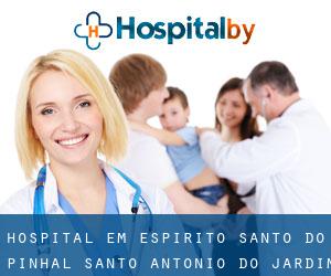 hospital em Espírito Santo do Pinhal (Santo Antônio do Jardim, São Paulo)
