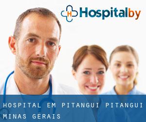 hospital em Pitangui (Pitangui, Minas Gerais)
